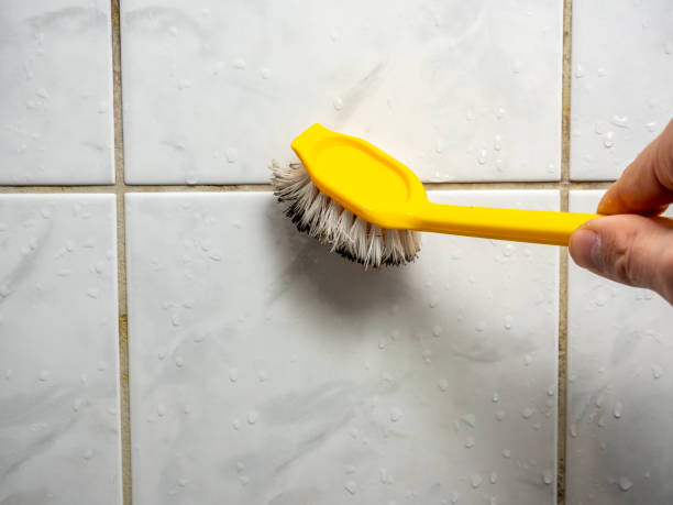 Best Local Mold Removal Service  in Okolona, MS