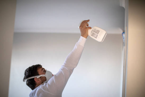 Best Mold Removal Near Me  in Okolona, MS