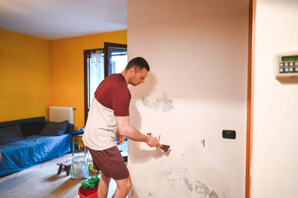 Best Mold Removal Company Near Me  in Okolona, MS